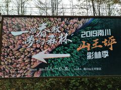 -山王坪喀斯特国家生态公园