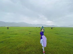 -纳帕海依拉草原