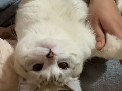 -森龍邑·烧烤·海鲜·炒菜(闽江路店)