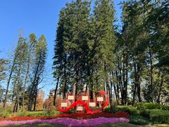 -四海公园(南山区)