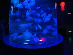 -太平洋海底世界