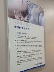 -碧莲盛不剃发植发