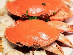 -鑫悦楼煎蟹·16年海鲜大排档