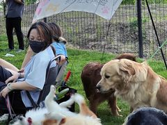 -爪吧宠物乐园 (温榆河示范区店)