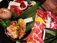 -猫爪爪原切自助烤肉(观音桥阳光世纪店)