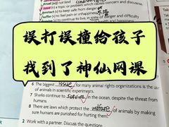 -上海市实验学校