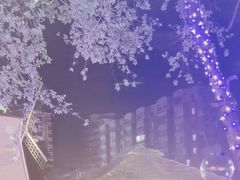 -奉天宴遇烧烤·冒锅