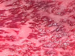 -Yeyije 韩定食