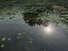 -云岗森林公园