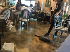 大堂-共舞时光猫咖·狗咖(新街口店)