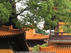 -亭林园-华藏寺