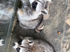 -杭州野生动物世界