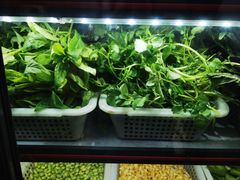 -元谋凉鸡店(百年老店)