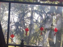 -巴倒烫陆派重庆火锅(南山店)