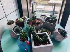 -蜜蜂小象·榴莲千层蛋糕(时代汇11栋店)