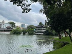 -荔湾湖公园