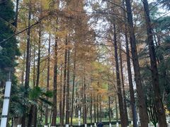 -苏州河梦清园环保主题公园