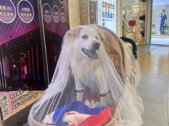 -海底捞火锅(翔龙天地广场店)