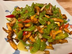 皱皮椒炒鸡油菌-缘生态云南菜·野生菌庭院餐厅(华侨城店)