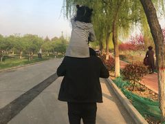 -洨河生态公园