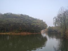 -溱湖国家湿地公园