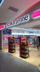 点击看大图 -cocokarafine可开嘉来