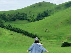 -大姆山草场