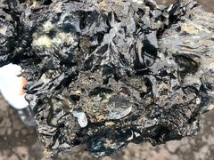 -夏威夷火山国家公园