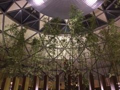 -上海滴水湖皇冠假日酒店