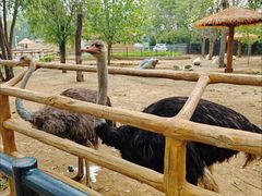 -大连森林动物园