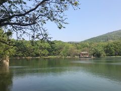 -紫霞湖公园