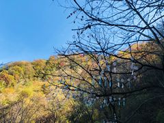 -少华山国家森林公园
