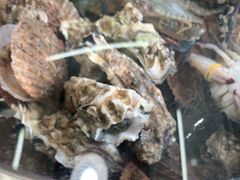 -前王院•巧克力海鲜市集餐厅(万平口店)