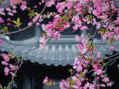 -莫愁湖公园