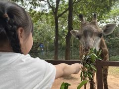 -深圳野生动物园