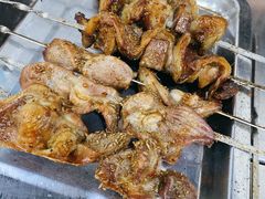 -张记烤羊腿(北花园店)