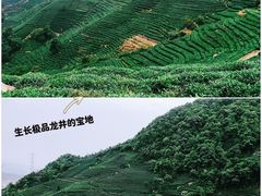 -午潮山国家森林公园
