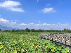 -野鸭湖国家湿地公园