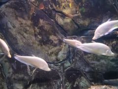 -常州海昌海洋探索馆