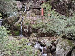 -大围山国家森林公园