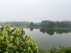 -东郊湿地公园