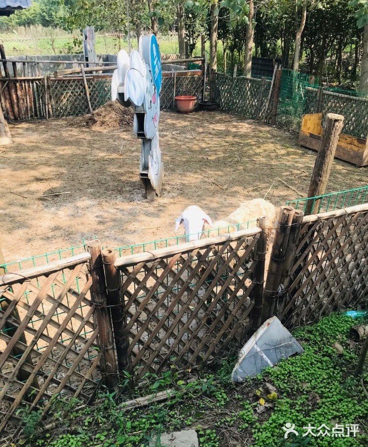 来户外亲近自然，喂食小动物吧！