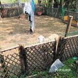 来户外亲近自然，喂食小动物吧！