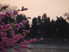 -北海公园