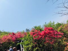 -木兰云雾山