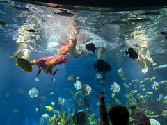 -海合安武汉极地海洋公园