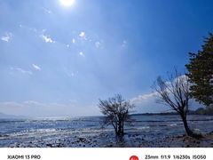 -洱海月湿地公园