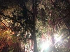 -闽江夜游台江旅游码头