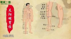 点击看大图 -玛莲朵·海菲秀冰珀科
