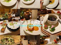 -叶叶菩提(太原别墅店)